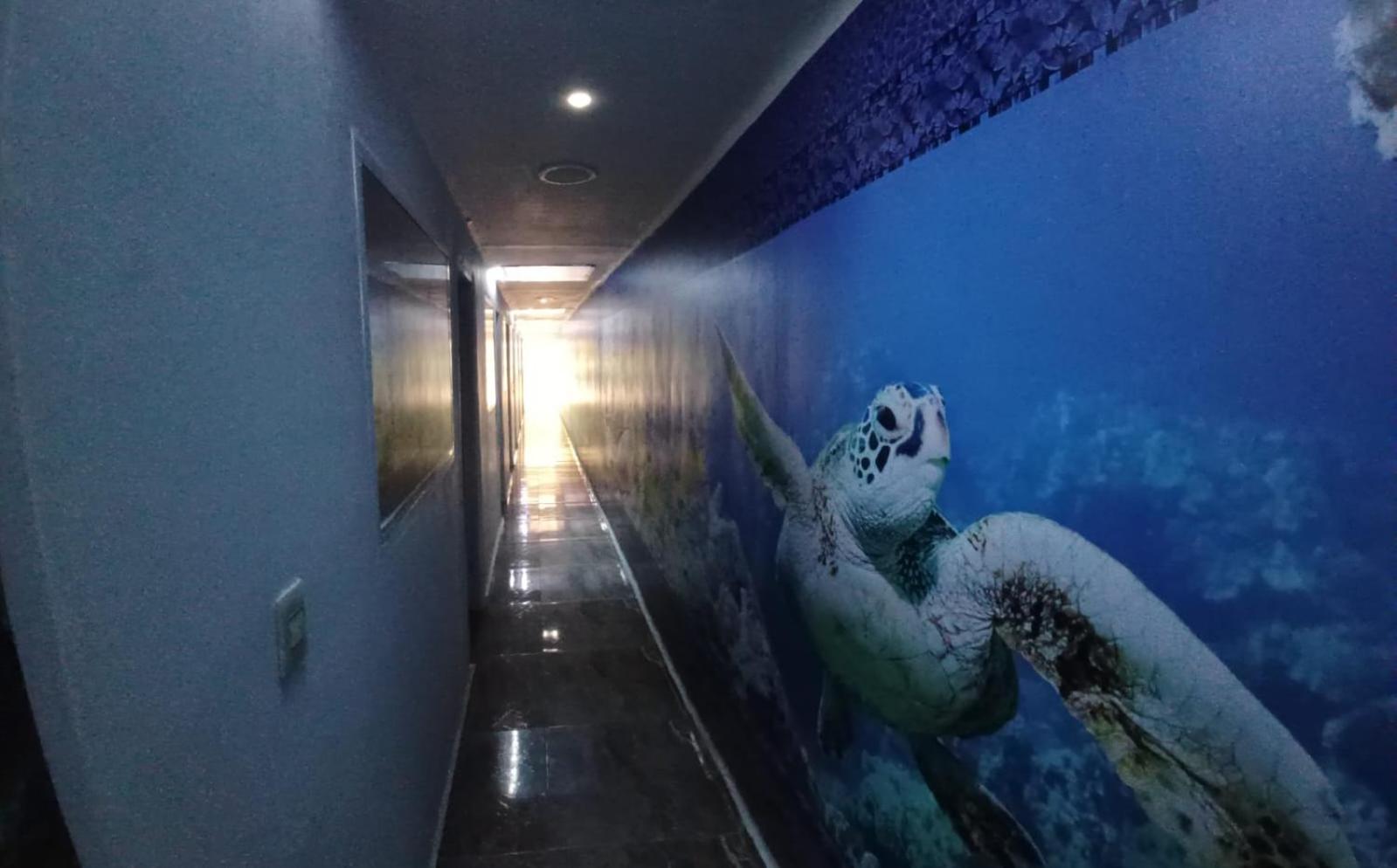 Hotel Dmauro Cartagena 外观 照片