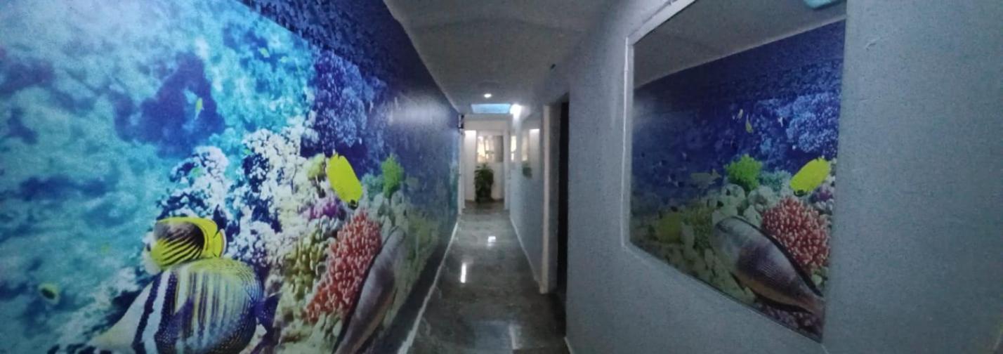 Hotel Dmauro Cartagena 外观 照片